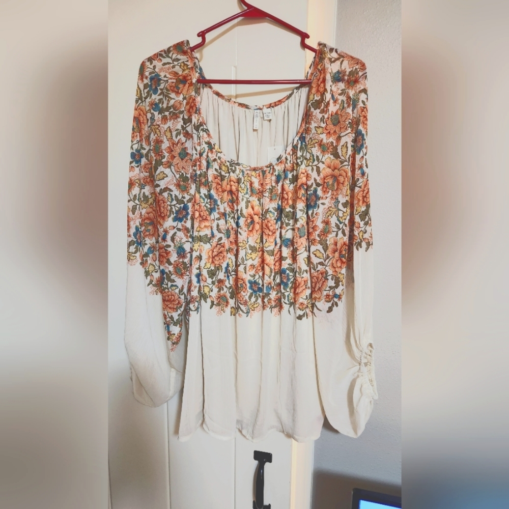 Plus size sheer top set
